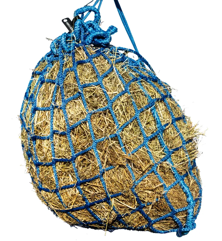 Equilibrium PortionPacer steady feeder(6cm)