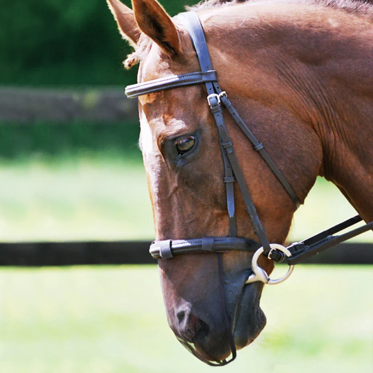 Equilibrium Net Relief Muzzle net brown (pack of 2)