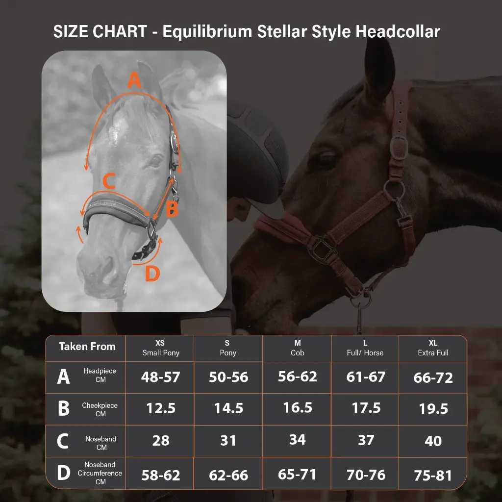 Stellar_Style_Size_Guide-01.webp