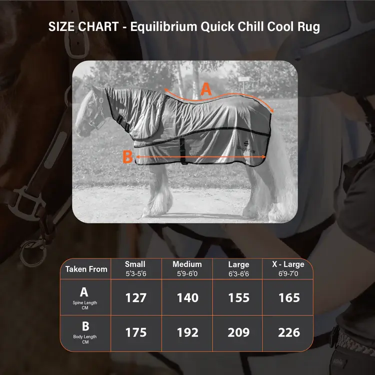Quick_Chill_-_Size_Guide-01.webp