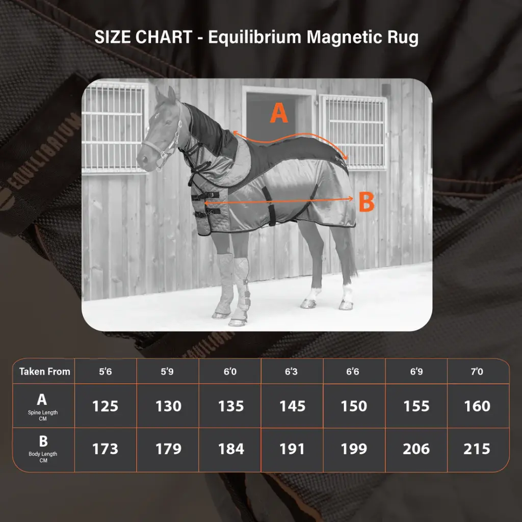 Magnetic_Rug_-_Size_Guide-01.webp