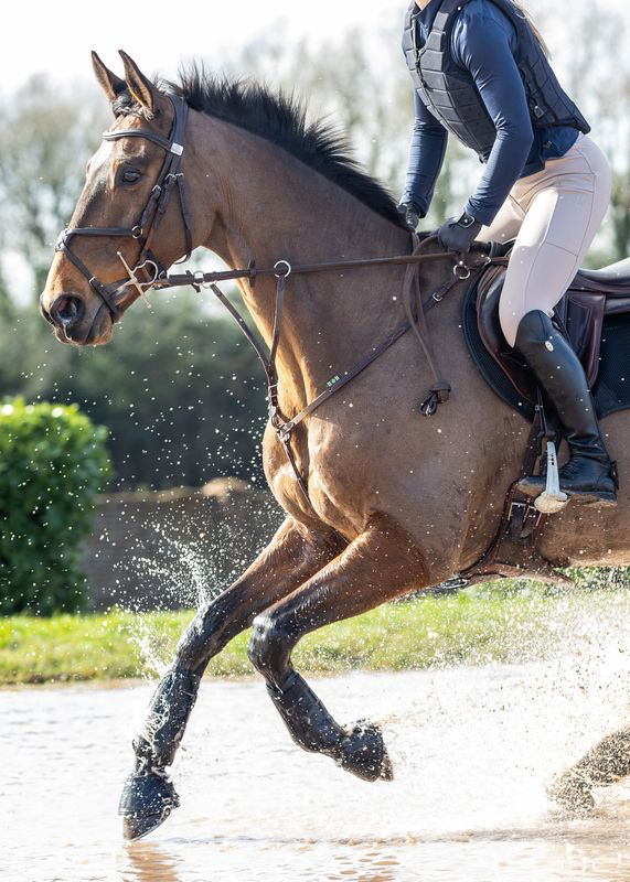 WhatsApp Image 2026-04-08 at 09.33.09 (2).webp