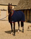 Original Cooler Navy - bay horse, front view (GP1_9591).webp