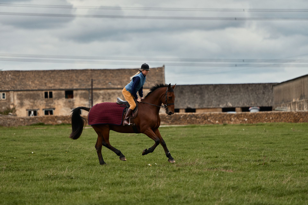 Quarter Rug Claret + Ladies Gilet Mediterranean - cantering (Steph 32296).webp