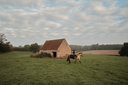 Quarter Rug Bottle Green - riding past stone barn (DSCF5362).webp