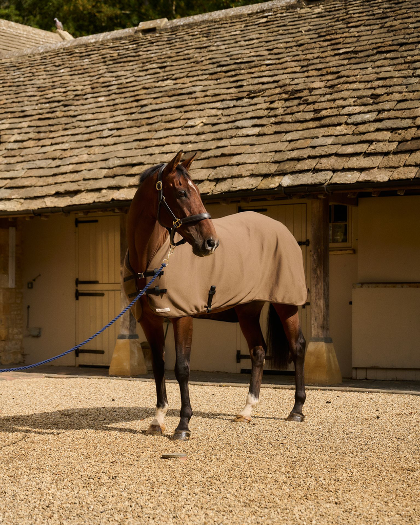 Lightweight Rug Taupe - bay horse at stables (GP1_9345).webp