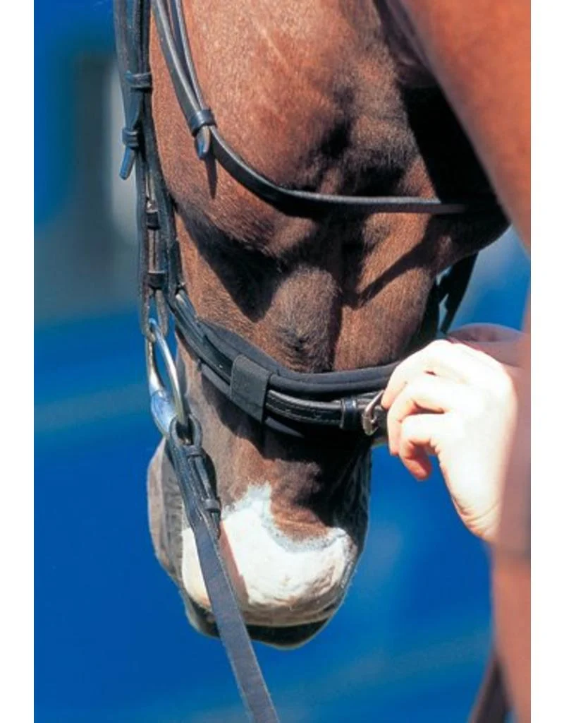 Prolite bridle pad curb