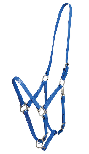 ZILCO Deluxe endurance bridle royal halter SS 269112