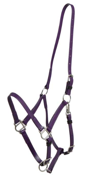 ZILCO Deluxe endurance bridle purple halter SS 269106