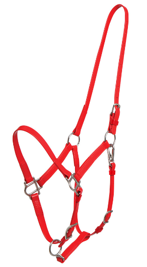 ZILCO Deluxe endurance bridle red halter SS 269107