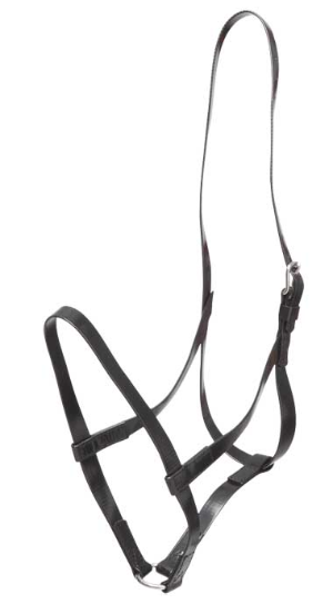 ZILCO under halter full 480409