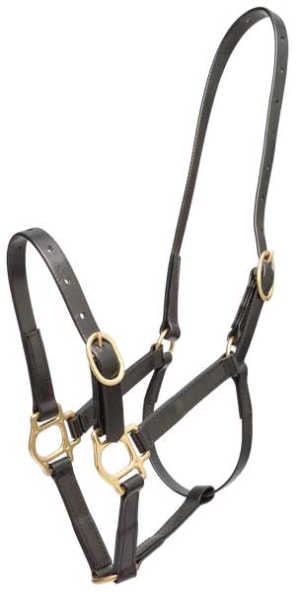 ZILCO PN headstall 25mm full black 544581