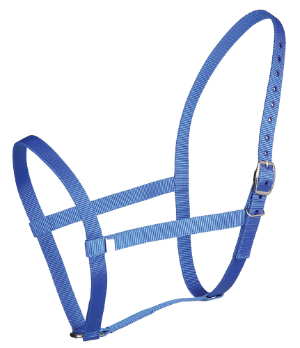 ZILCO under halter PP web pony royal 542222