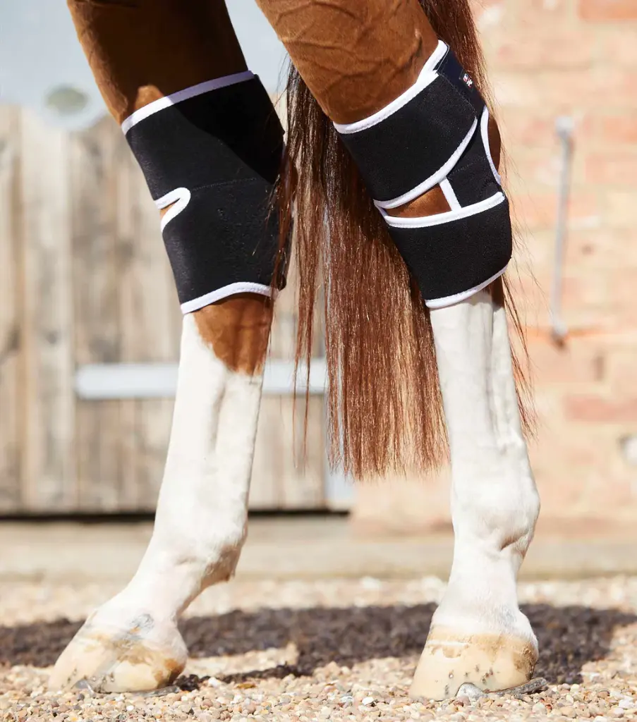 PE Magnetic hock boot