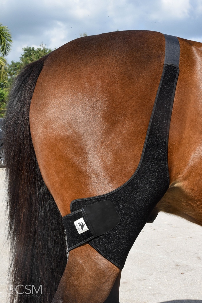 Fenwick Liquid Titanium Stifle wrap