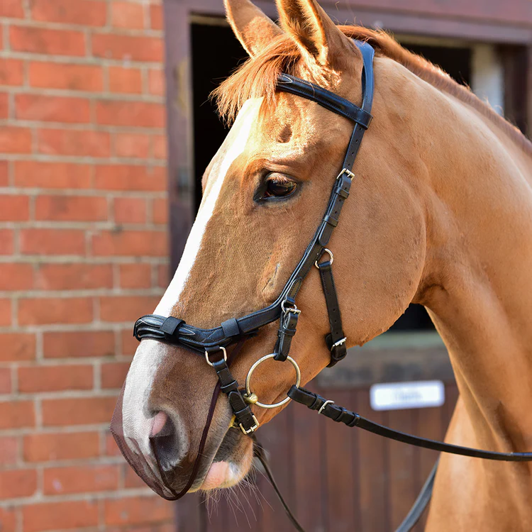 Equilibrium Net Relief Muzzle net micklem black (pack of 2)