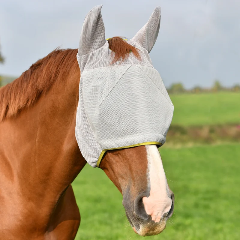 Equilibrium Field Relief midi ears grey