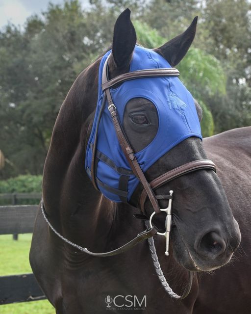 Fenwick Liquid Titanium Mask navy