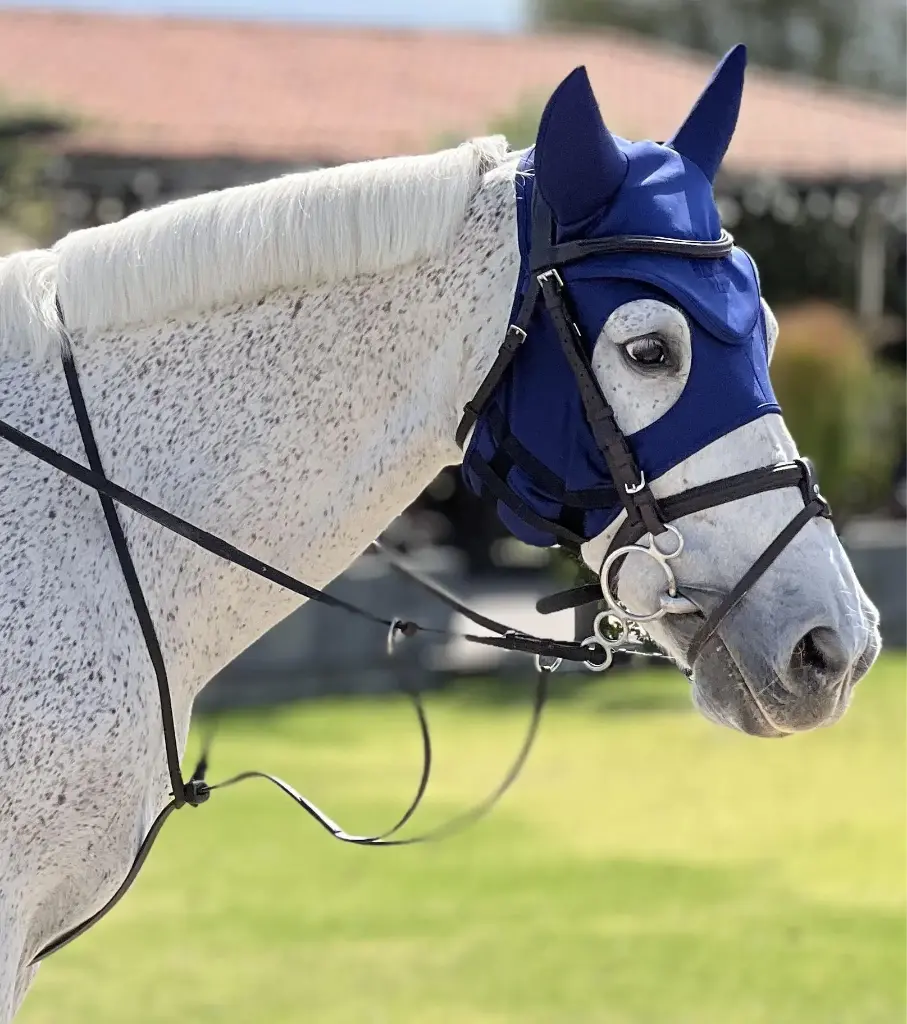 Fenwick Liquid Titanium Mask with ears navy