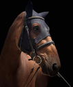 Fenwick Liquid Titanium Mask with ears