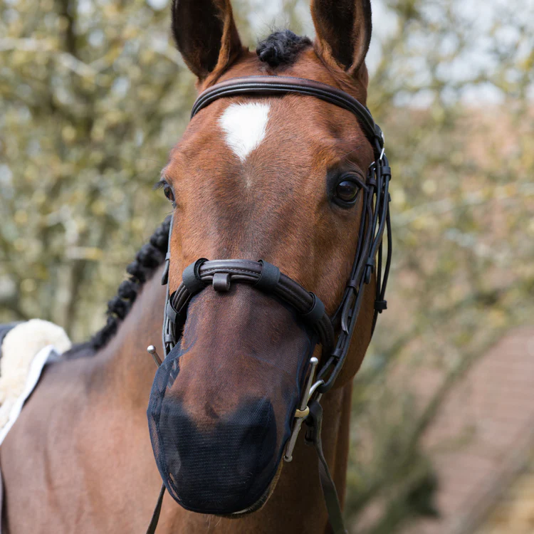 Equilibrium Net Relief Muzzle net black ( pack of 2)