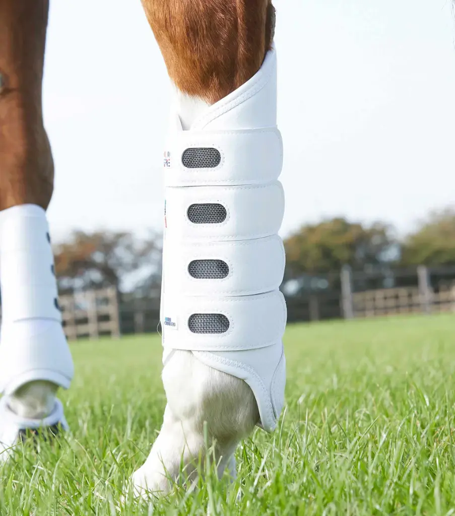 PE Carbon tech aircooled event boots white hind 