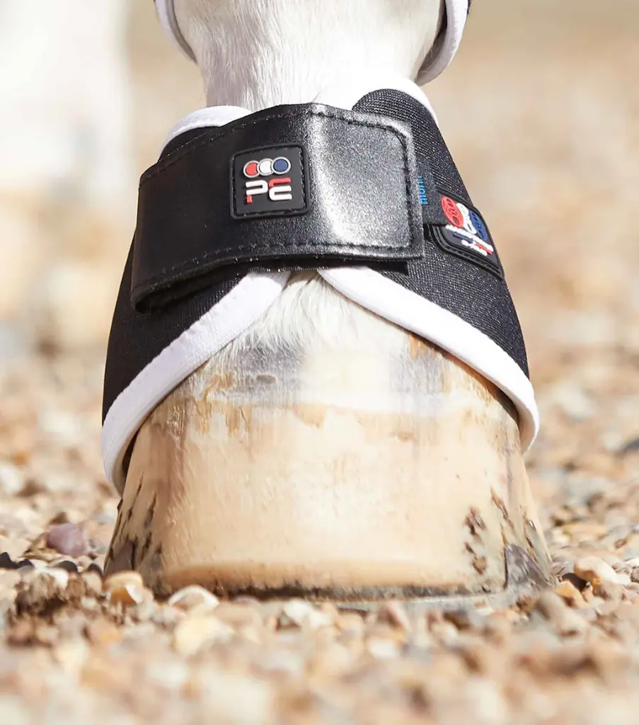 PE Magnetic hoof boot