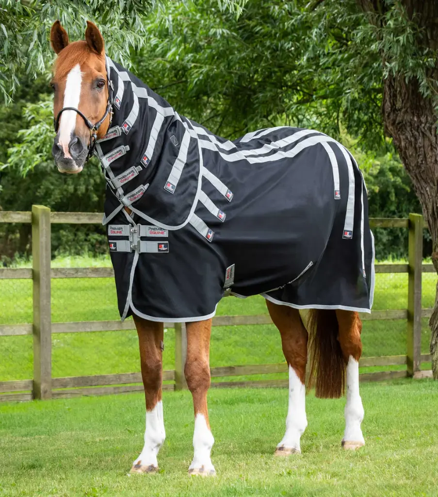 PE Magnetic rug