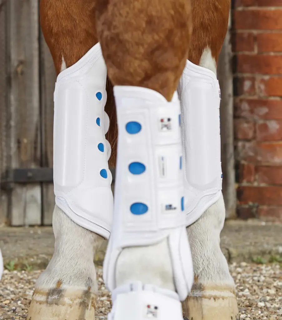 PE air-cooled original event boot hind white