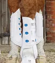 PE air-cooled original event boot hind white