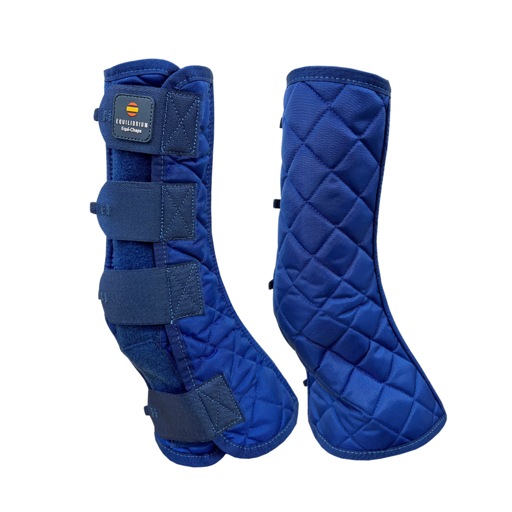 Equilibrium Stable Chaps 