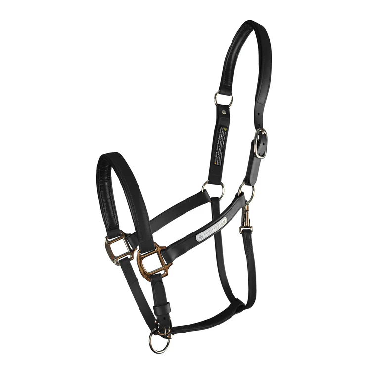 Equilibrium Stellar head collar all weather