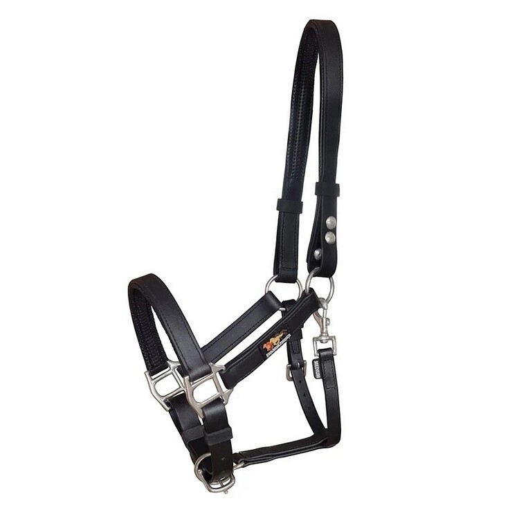 Equilibrium Stellar head collar 