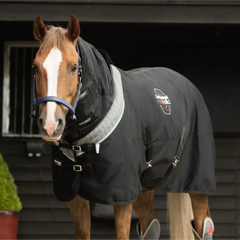 Equilibrium Magnetic Rug 