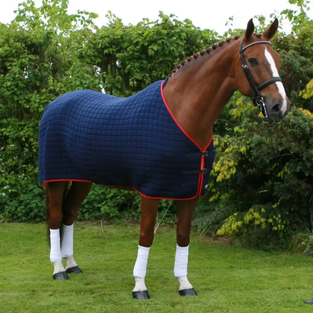 Thermatex SHR with belly strap