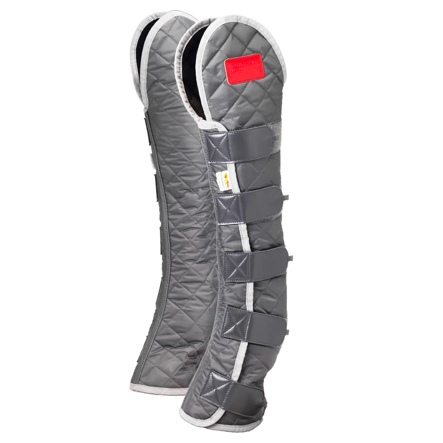 Equilibrium Magnetic hind and hock chaps