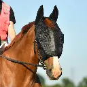 Equilibrium Net Relief Riding mask with ears 