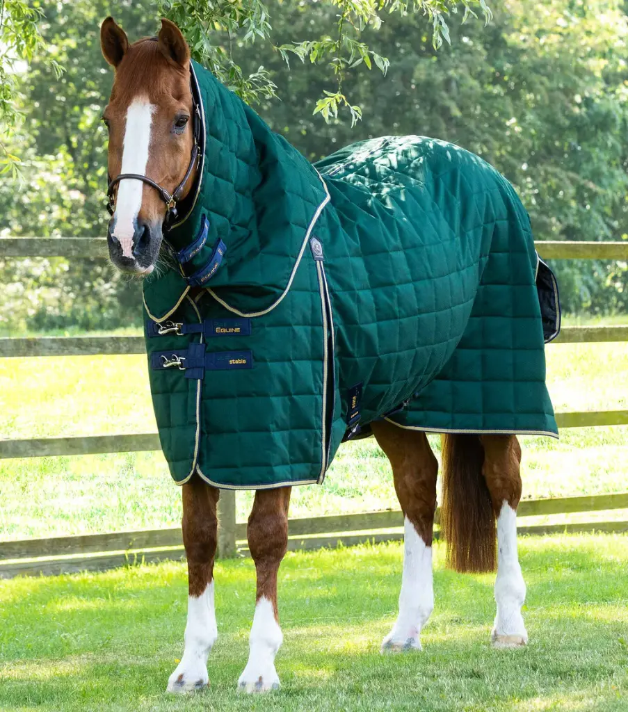PE Lucanta 200gr Stable rug with Neck 