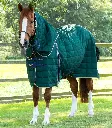 PE Lucanta 200gr Stable rug with Neck 