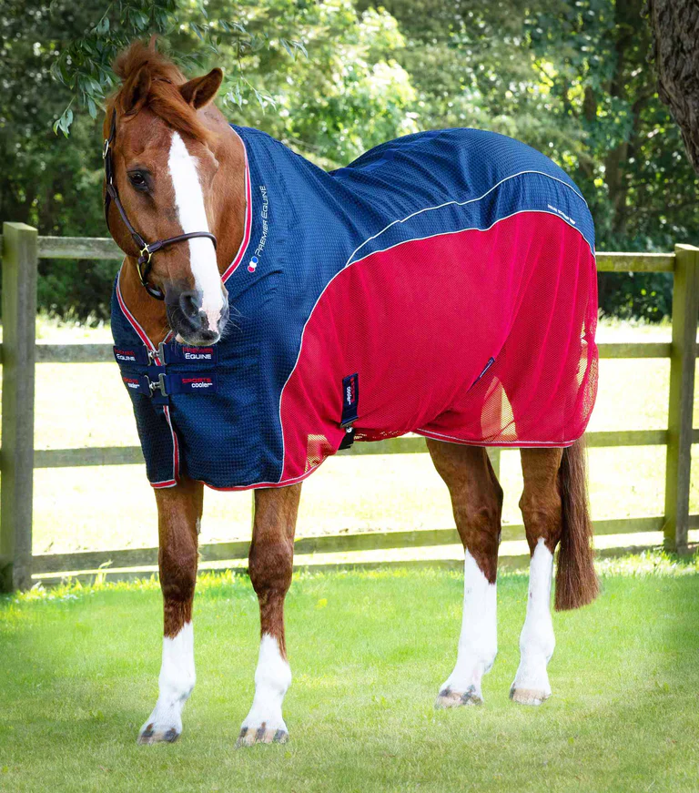 PE Sports cooler navy