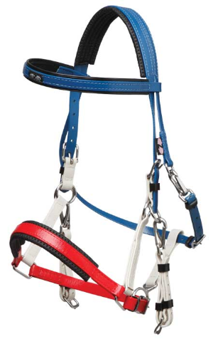Zilco Tri colour marathon bridle 269081