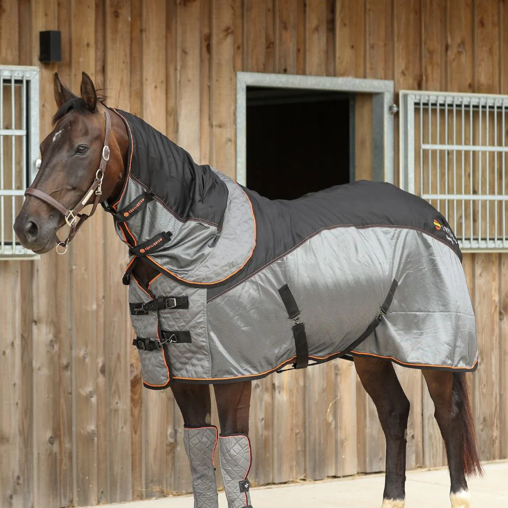 Equilibrium Therapy Magnetic Rug  