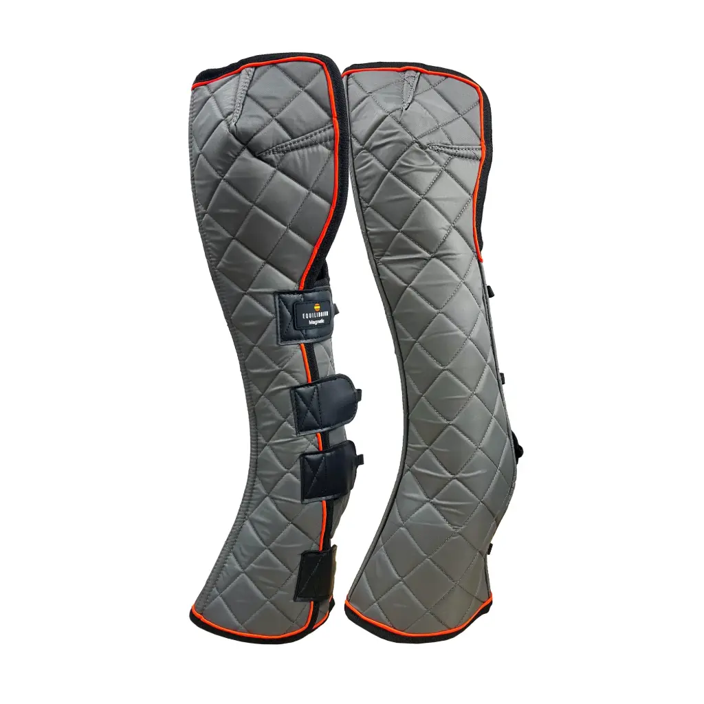 Equilibrium Magnetic Fore and Knee chaps 