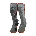 Equilibrium Magnetic Fore and Knee chaps 