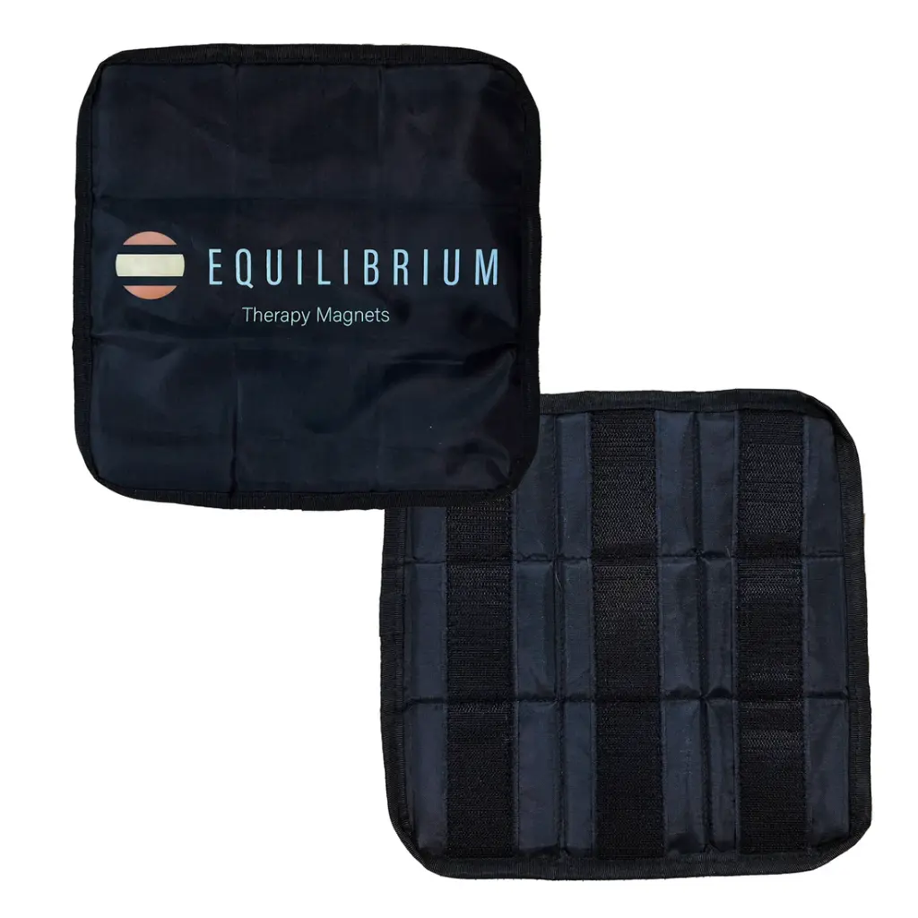 Equilibrium Spare Magnets for Magnetic rug square (2)