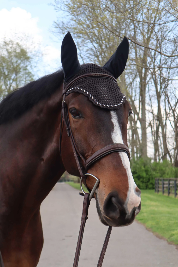 Fenwick Liquid Titanium Mesh ear bonnet  