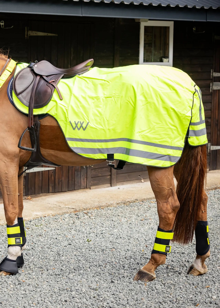 Woof Wear Winter Hi Vis Exercise Sheet