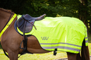 Woof Wear Hi Vis Exercise Sheet