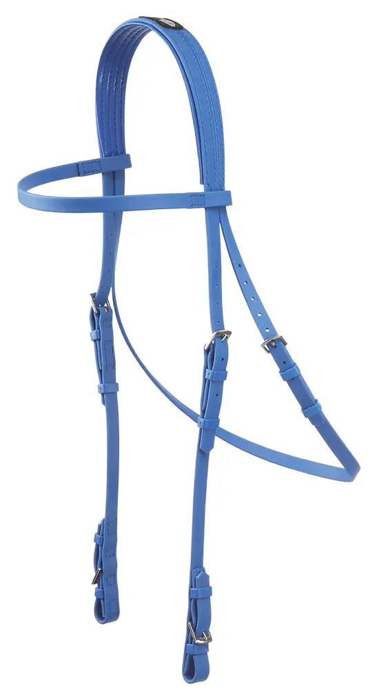 ZILCO Race Bridle Epsom royal 672812