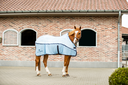 Equilibrium Quick Chill Rug V26 without Detachable Neck